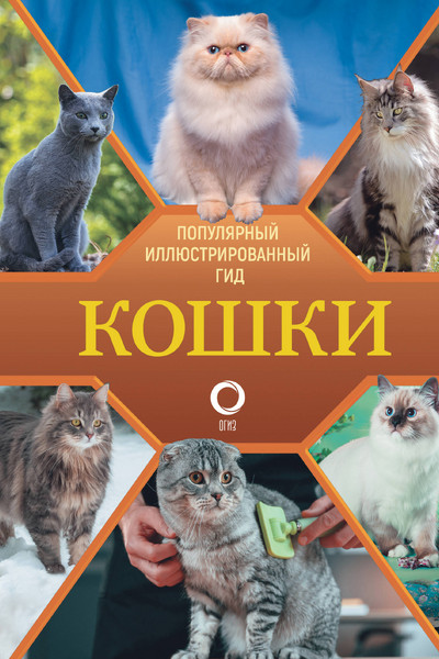 Кошки