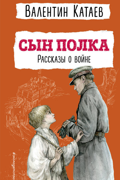 Сын полка. Рассказы о войне (ил. В. Канивца)