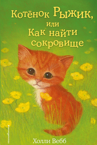 Котёнок Рыжик, или Как найти сокровище (выпуск 13)
